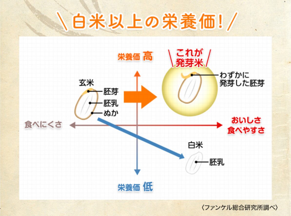 ファンケル 発芽米の栄養と効果